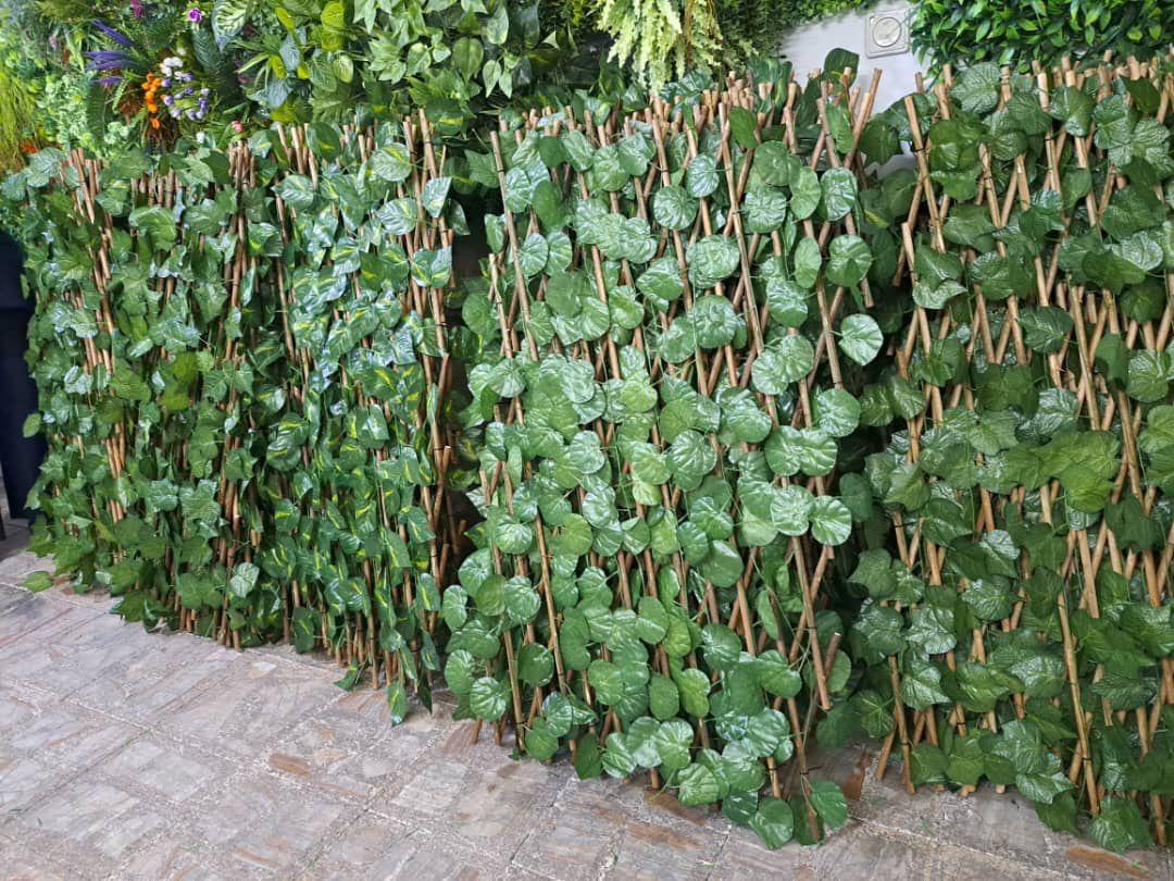 دکوراسیون داخلی امپراطور