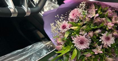 نمایندگی لاماری در رشت، طرح یکپارچه سازی خودرو  لاماری (آرین موتور-پردیس اسب بخار)