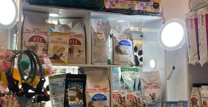 پت شاپ پسر شجاع