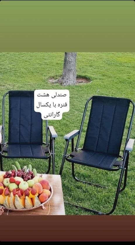 تولید و پخش انواع صندلی های مسافرتی