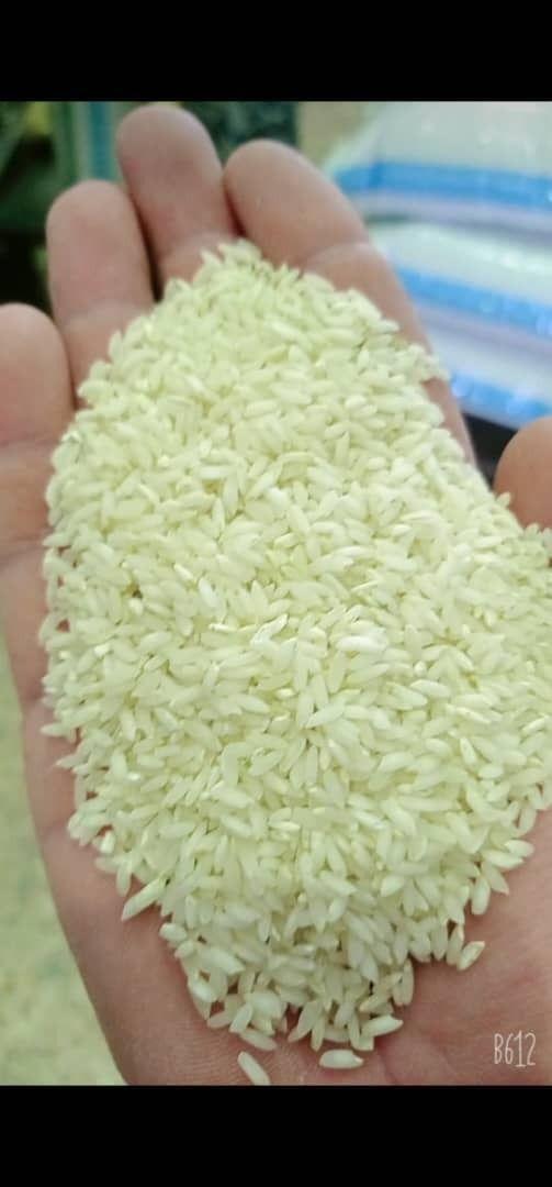 برنج فروشی بوکان