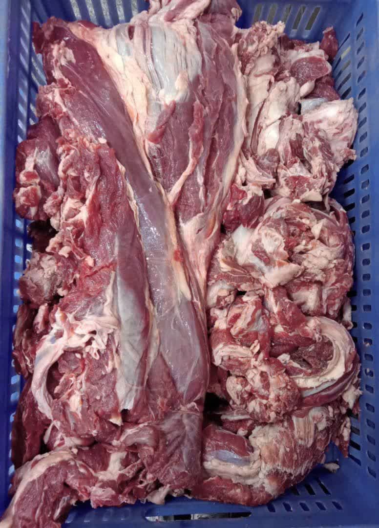 فروش گوشت گوساله