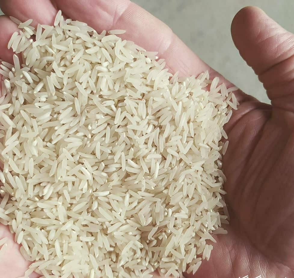 برنج ایرانی دژاکام