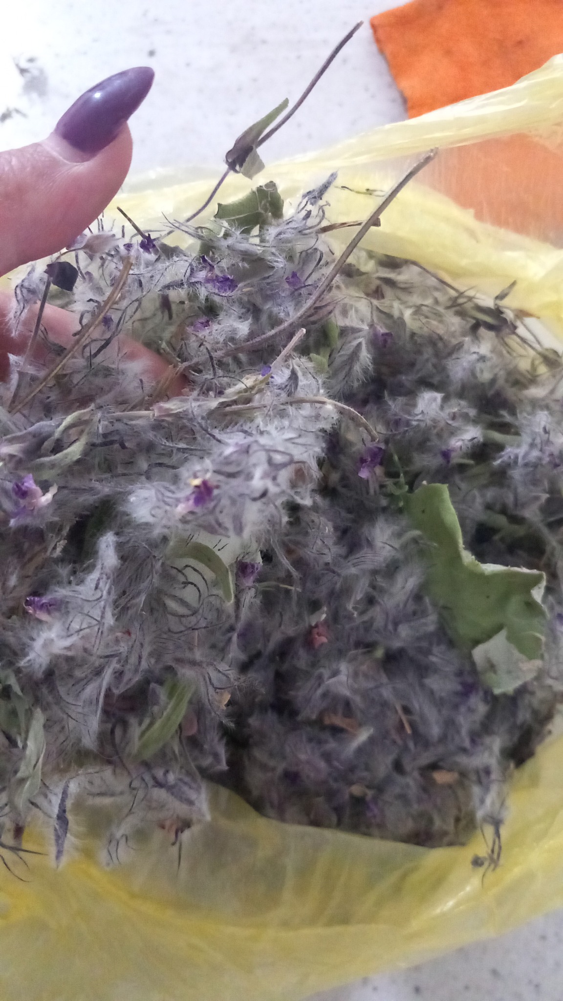 فروش دمنوش های گیاهی زارعپور