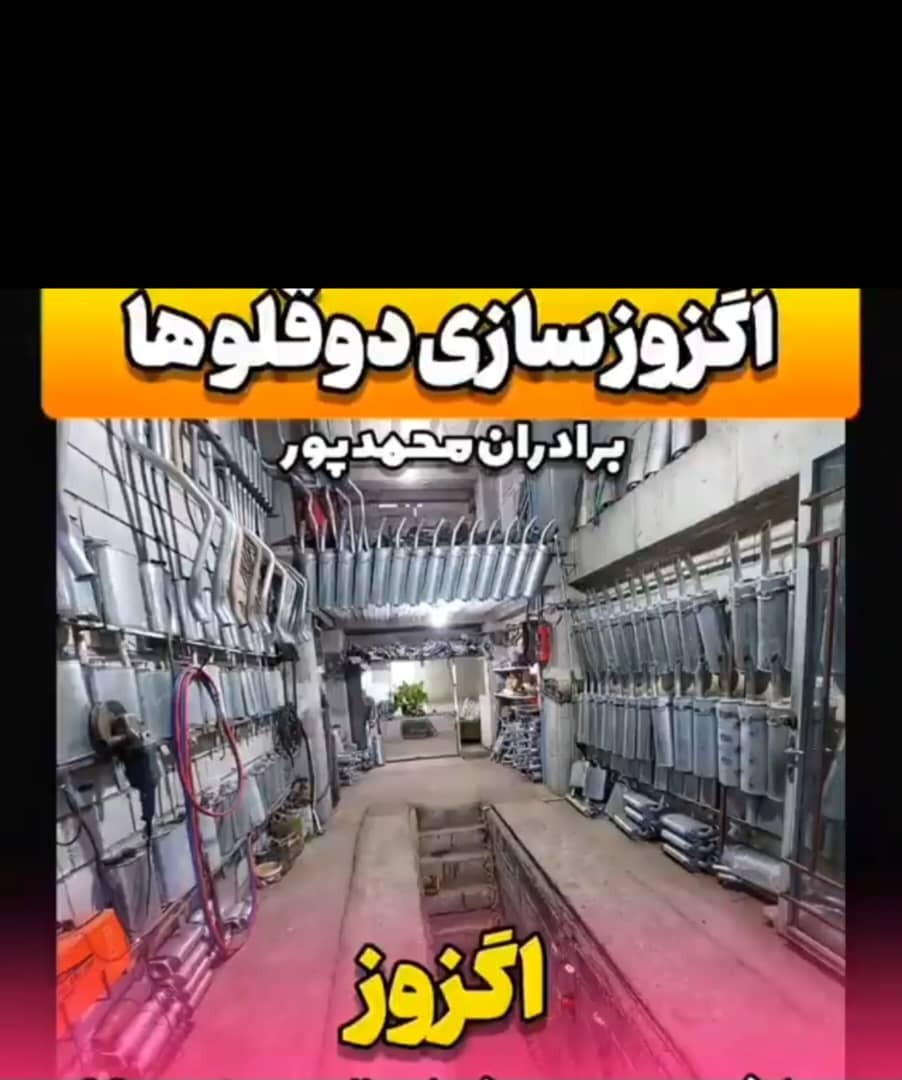 اگزوز سازی دوقلوها