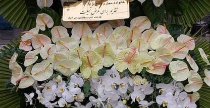 گل فروشی انلاین  گل رز ((آبیک))