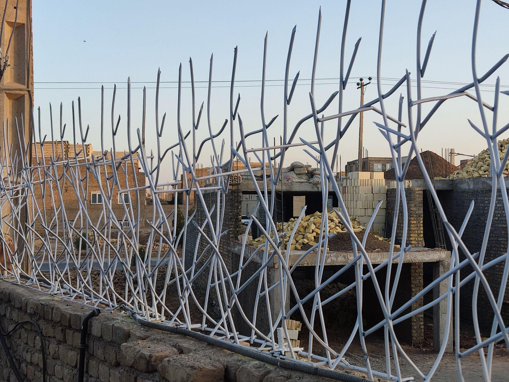 حفاظ شاخ گوزنی آذین حفاظ