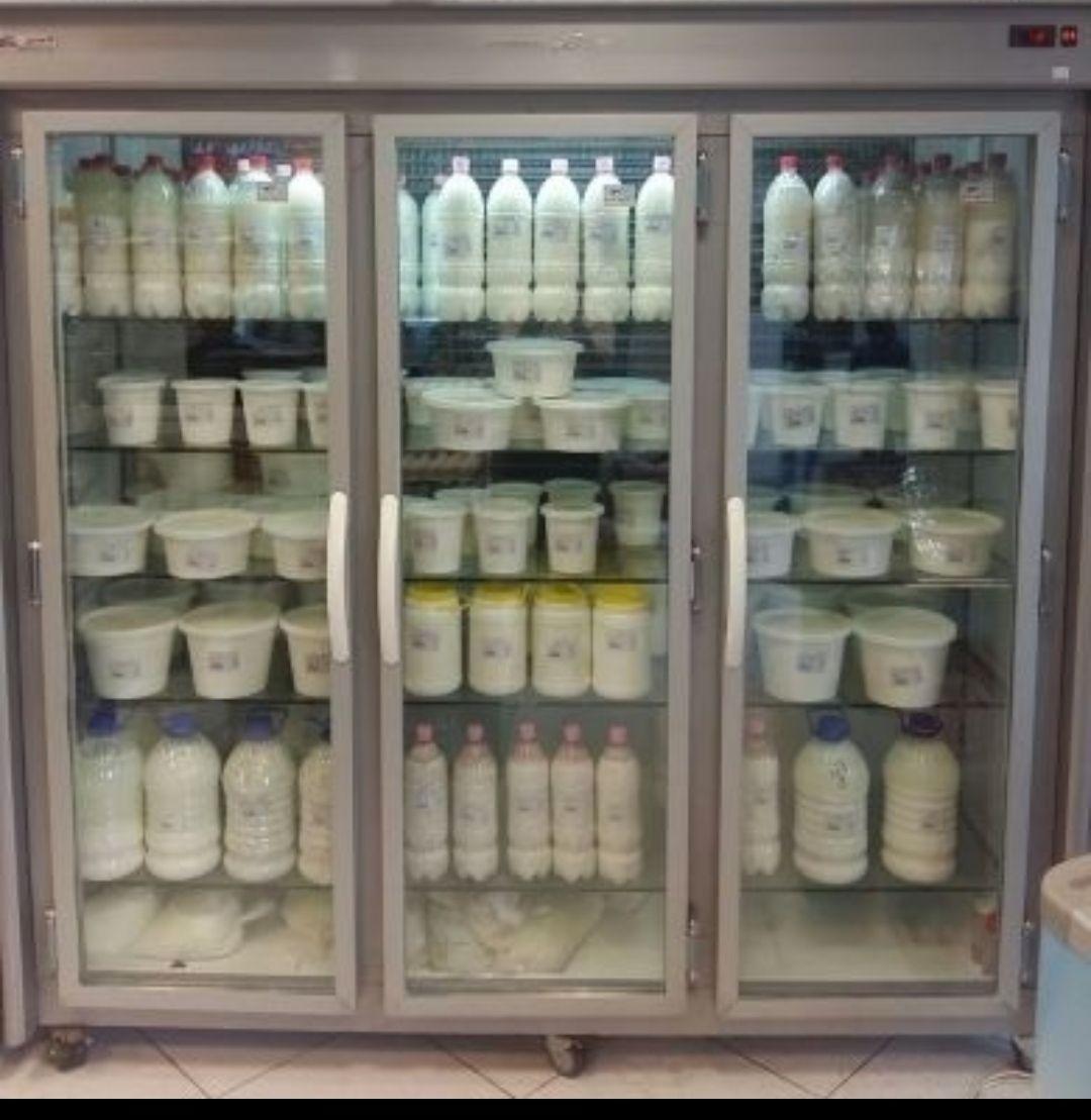 لبینیاتی پوریا