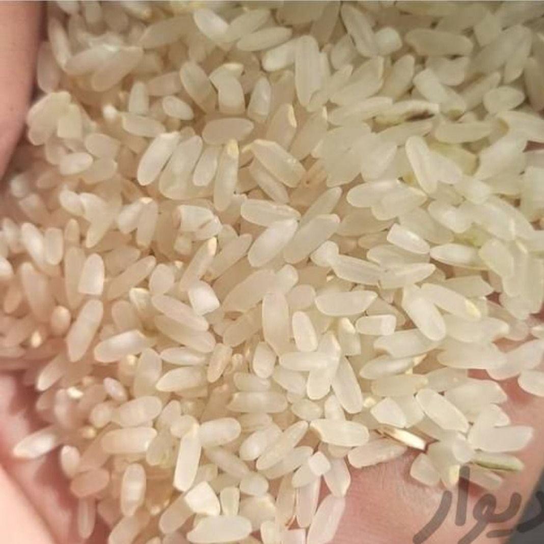 برنج سرای کامفیروزی