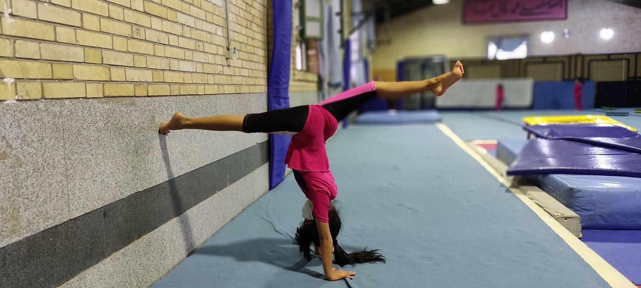 ژیمناستیک نشاط