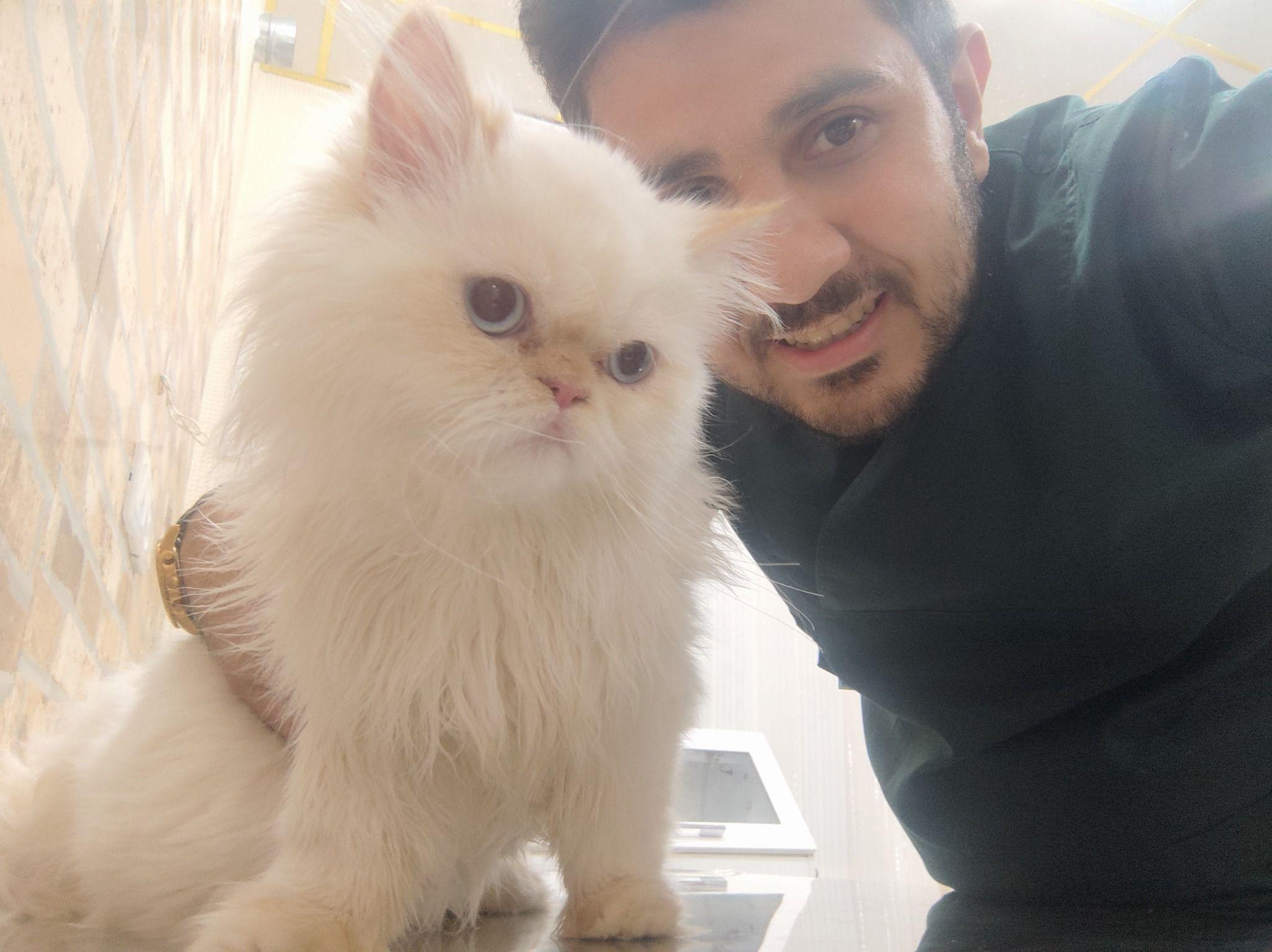 دامپزشکی دکتر سید رسول مرعشی پور