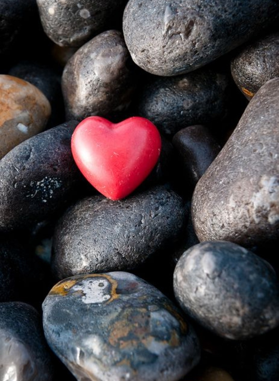 معدن مرمریت سیاه جنوب کوه تختی نجف آ باد