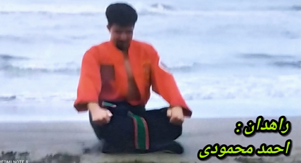 آموزش تخصصی شنا و هنر رزمی کانگ فو توآ