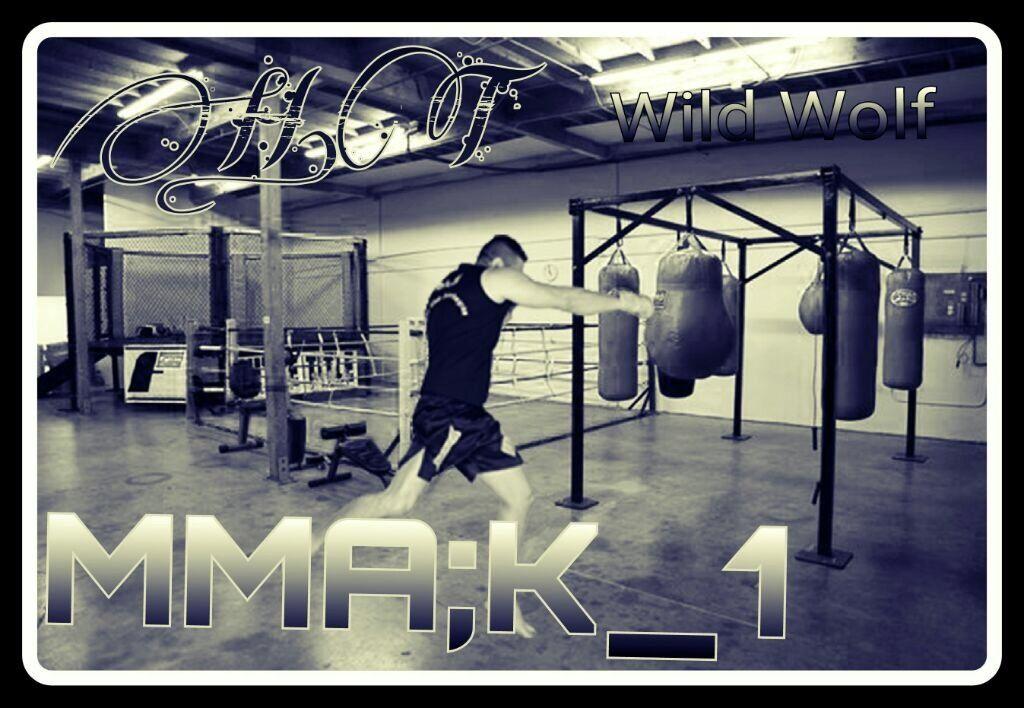 دفاع شخصی/ مبارزات آزاد حرفه ای {MMA & K-1 } @ آموزش بوکس 🥊