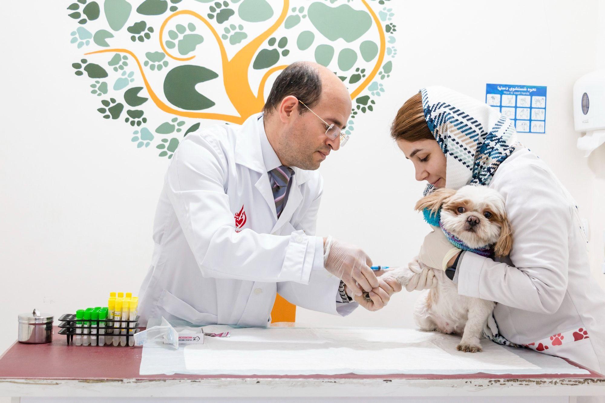 آزمایشگاه دامپزشکی لابرا