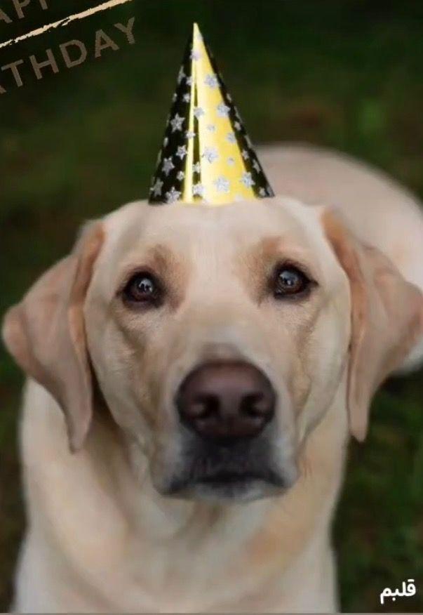 پانسیون خانگی موکا