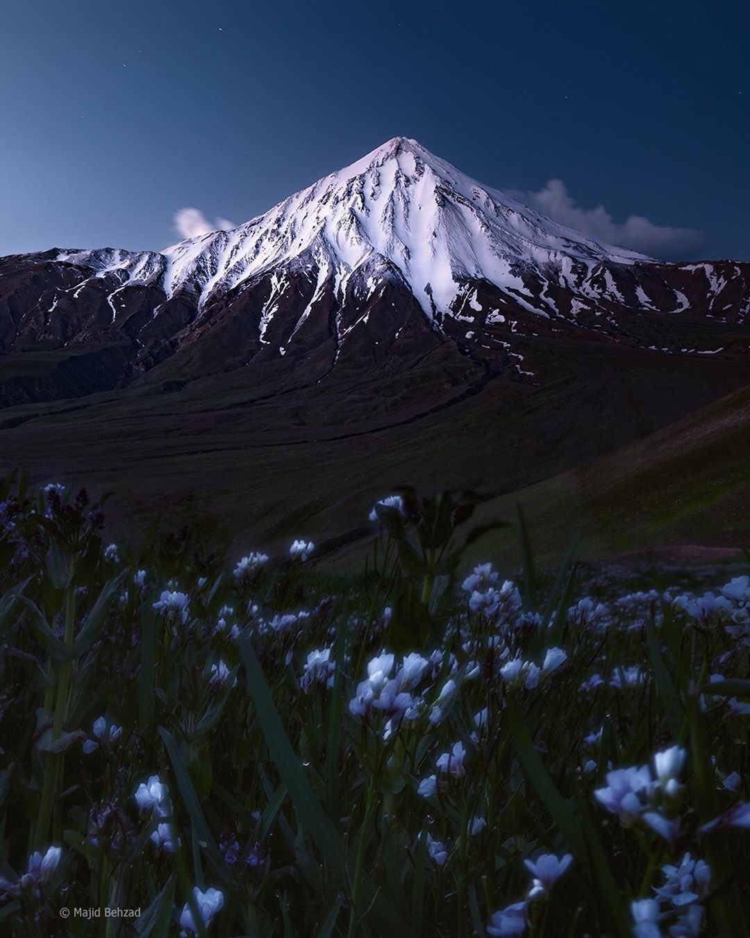 گروه حقوقی ما