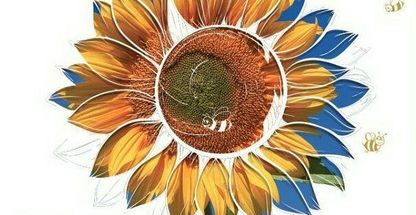 عسل طبیعی رویال انگبین «فاقد شکر واسانس»