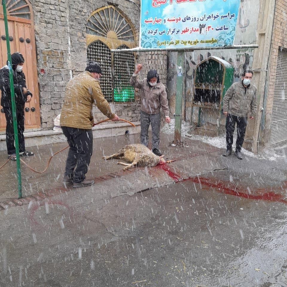 موسسه خیریه بیت الزهرا سلام الله علیها