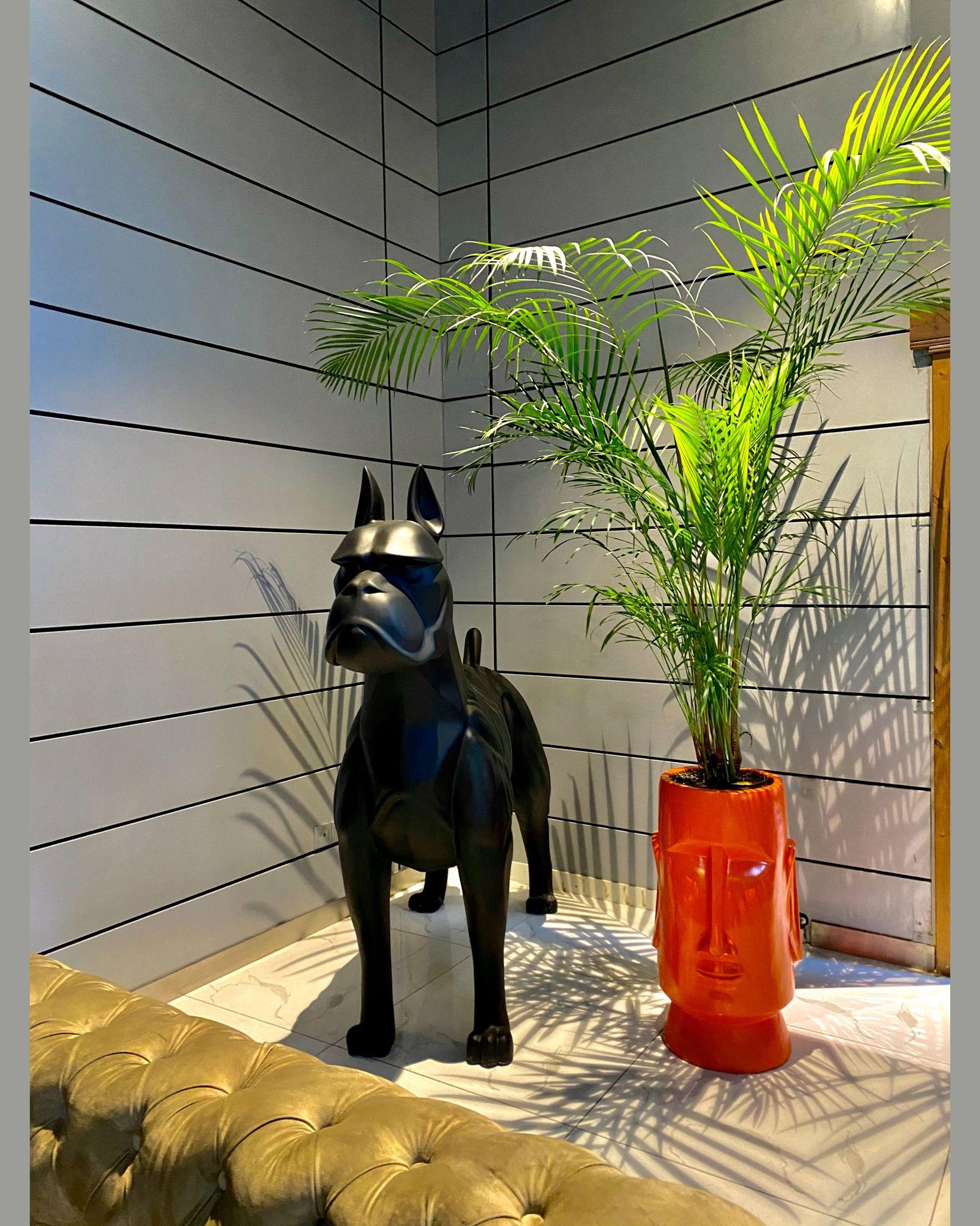 کافه رستوران پلاس شیم