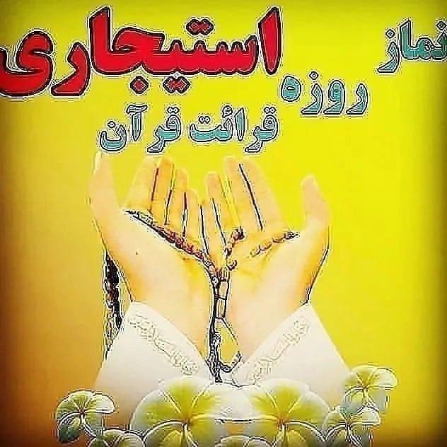 خیریه دوازده امام ع رهپویان مهر مطهر
