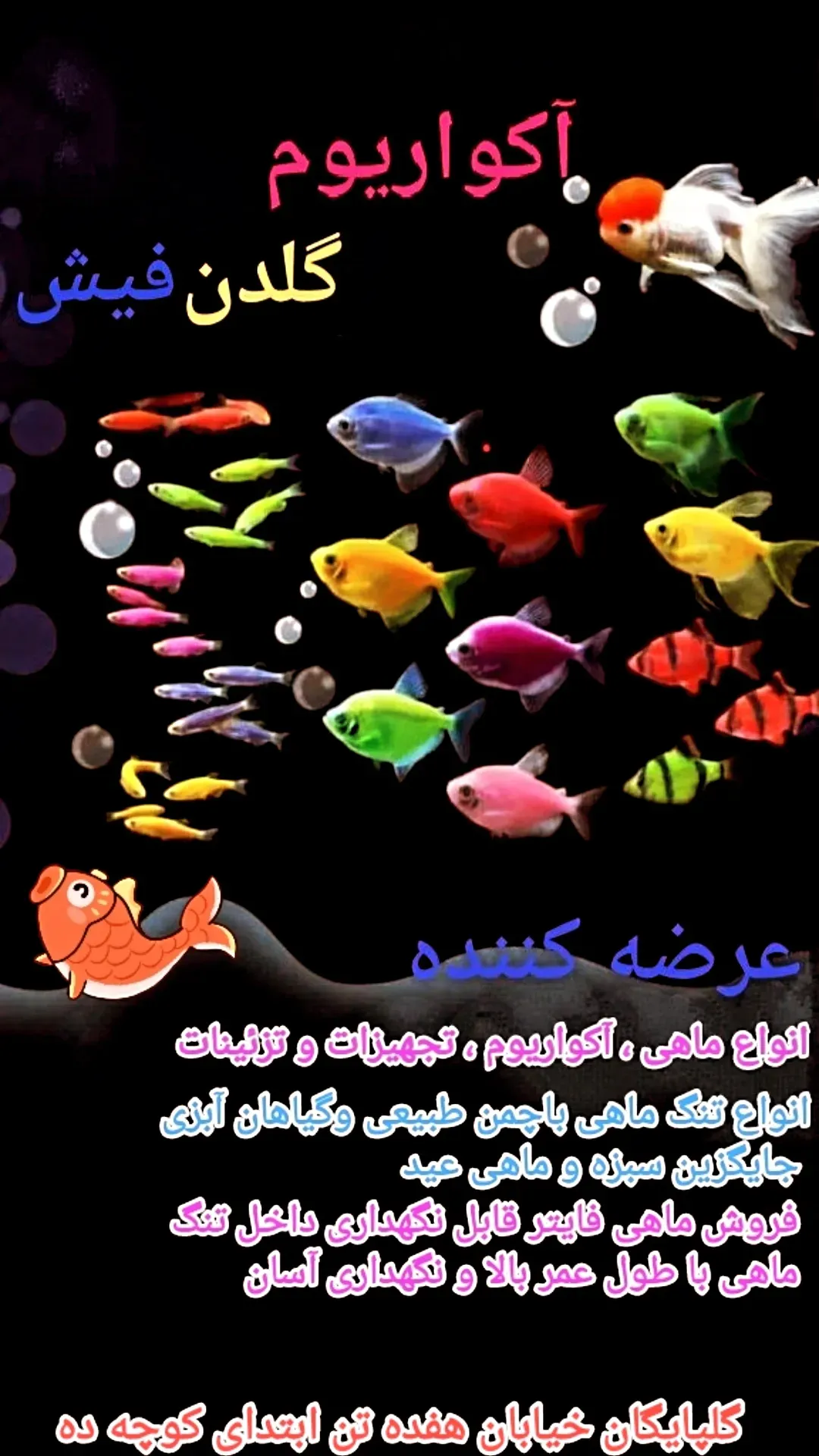 آکواریوم گلدن فیش