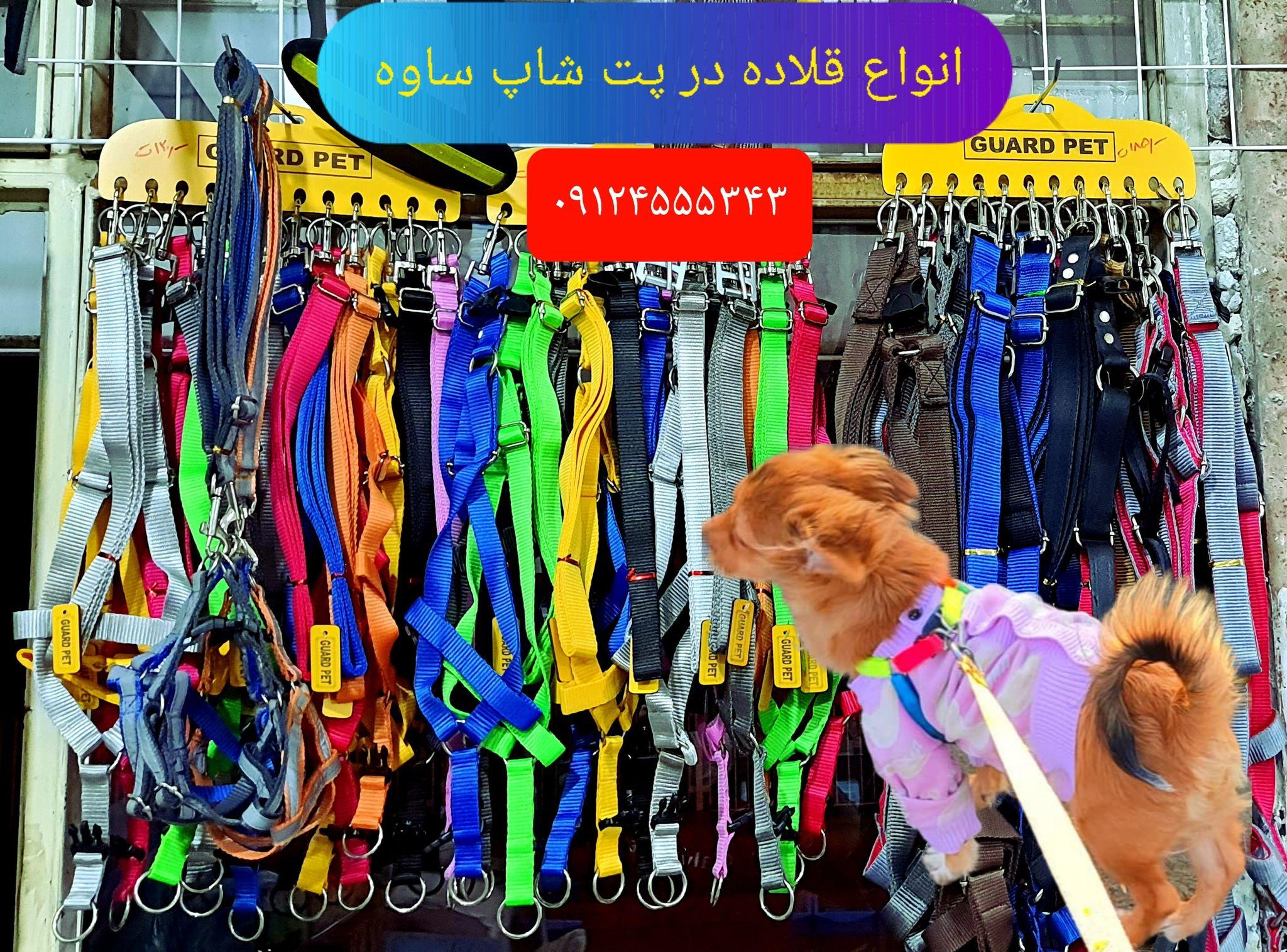 پت شاپ ساوه