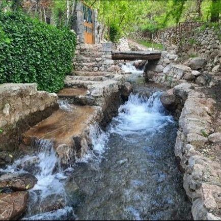 پرورش ماهی داریان