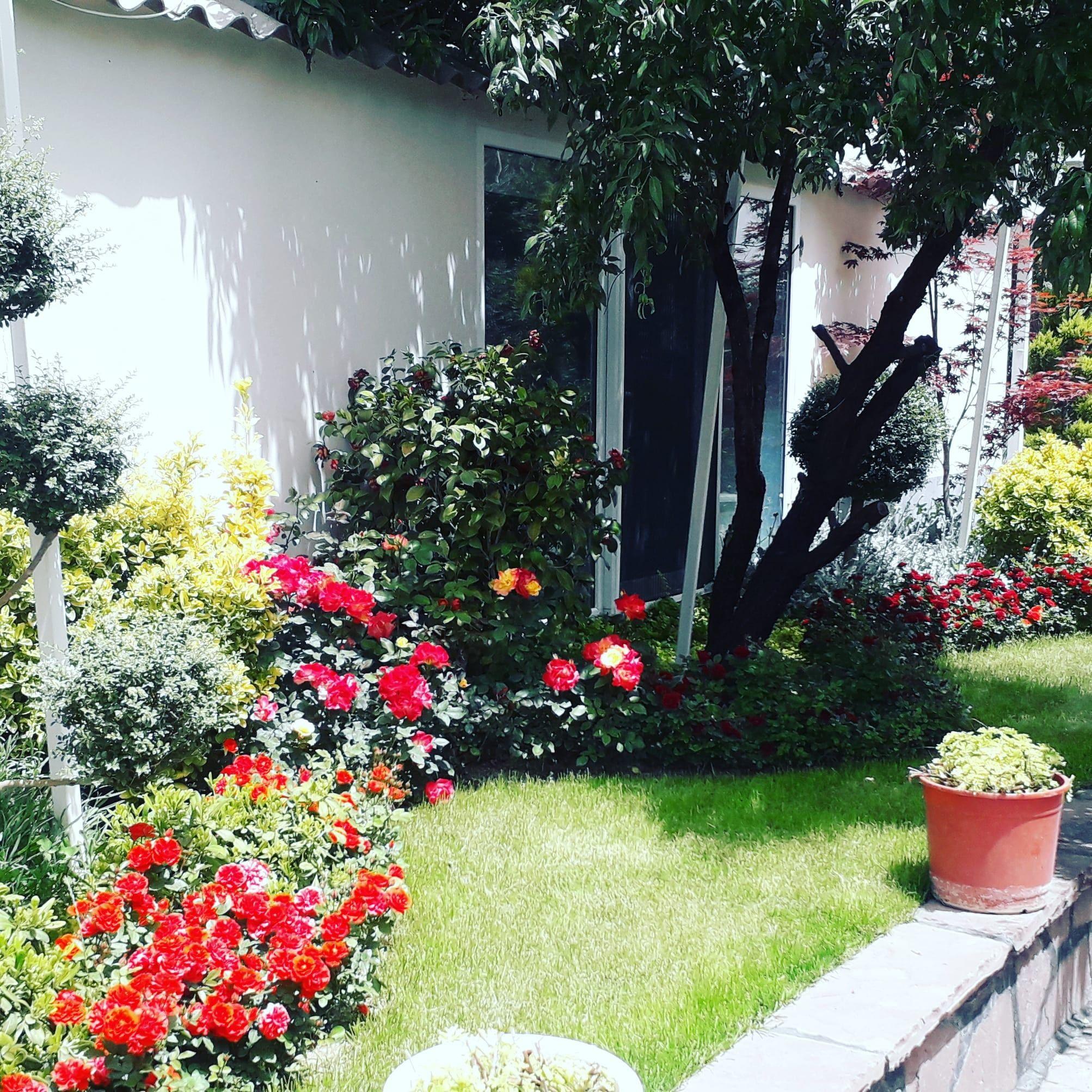 طراحی گل و گیاه • آبیاری قطره ای و آبنما