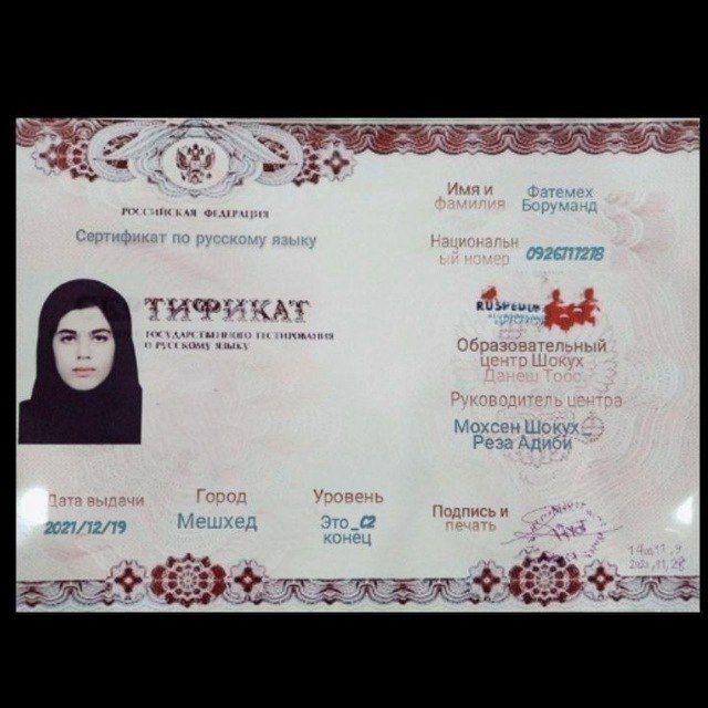 مدرس و مترجم زبان روسی