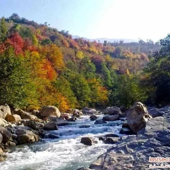 مجری تورهای داخلی