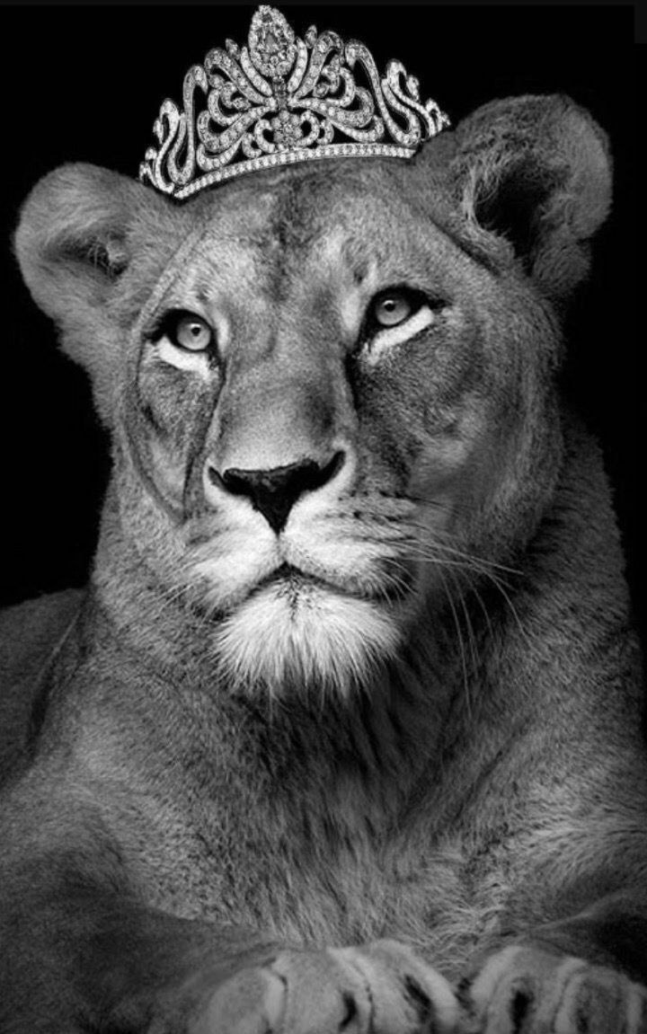 طراحی سیاه قلم الهام