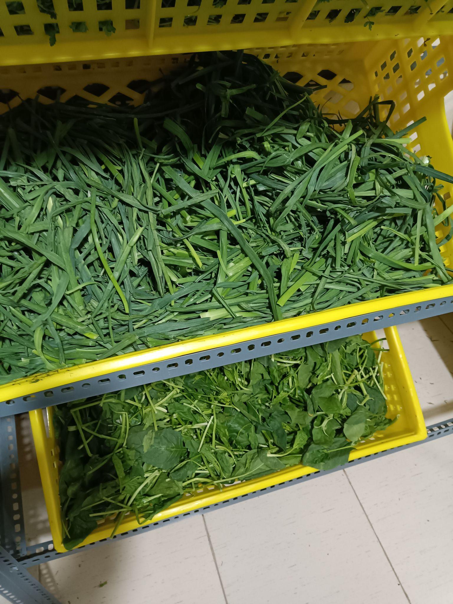 سبزیجات و عطاری معجزه