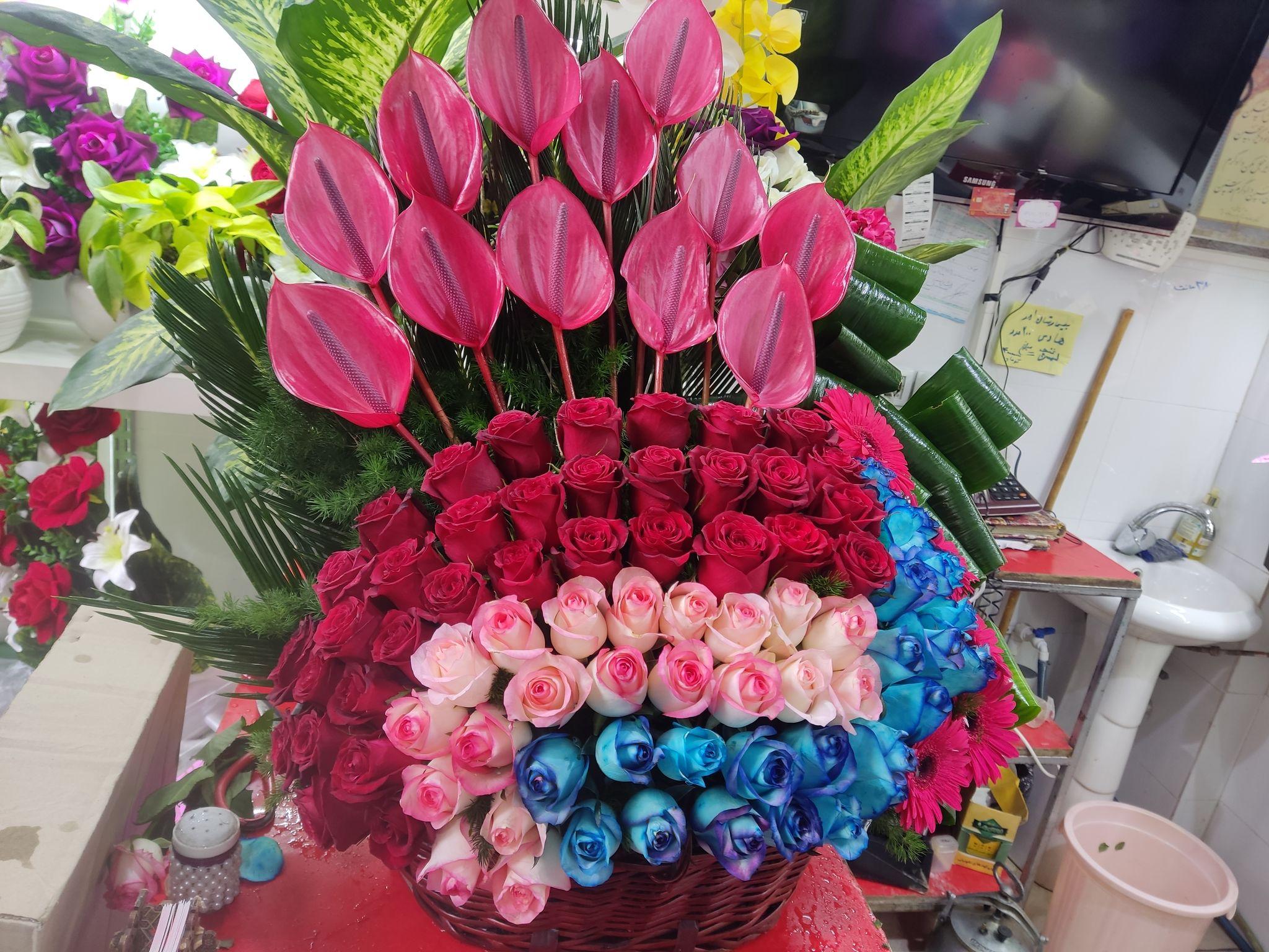 گلسرای قاسم نیا