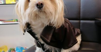 پت شاپ کلبه