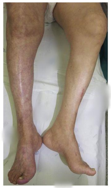 محمدرضا اخباری فوق تخصص قلب و عروق