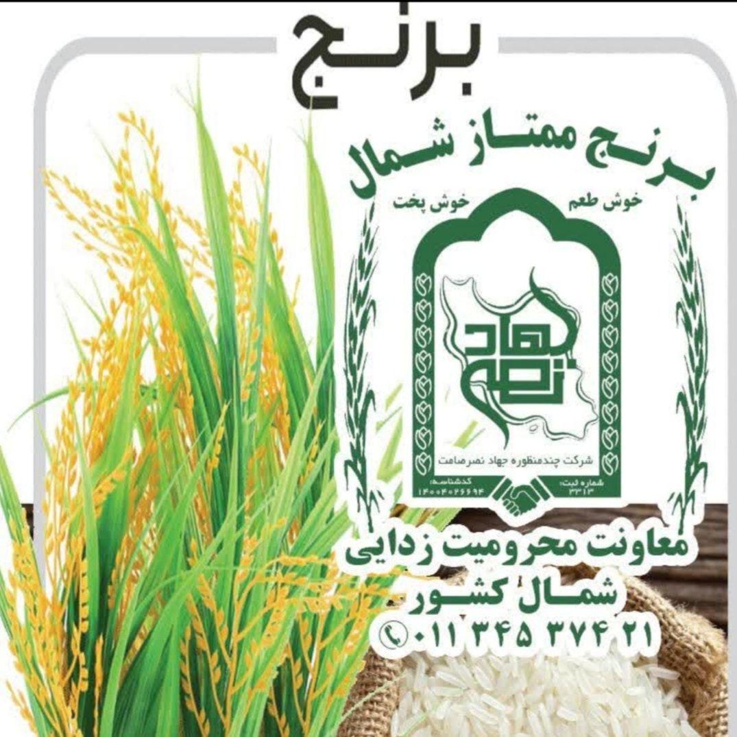 فروش برنج ممتاز شمال
