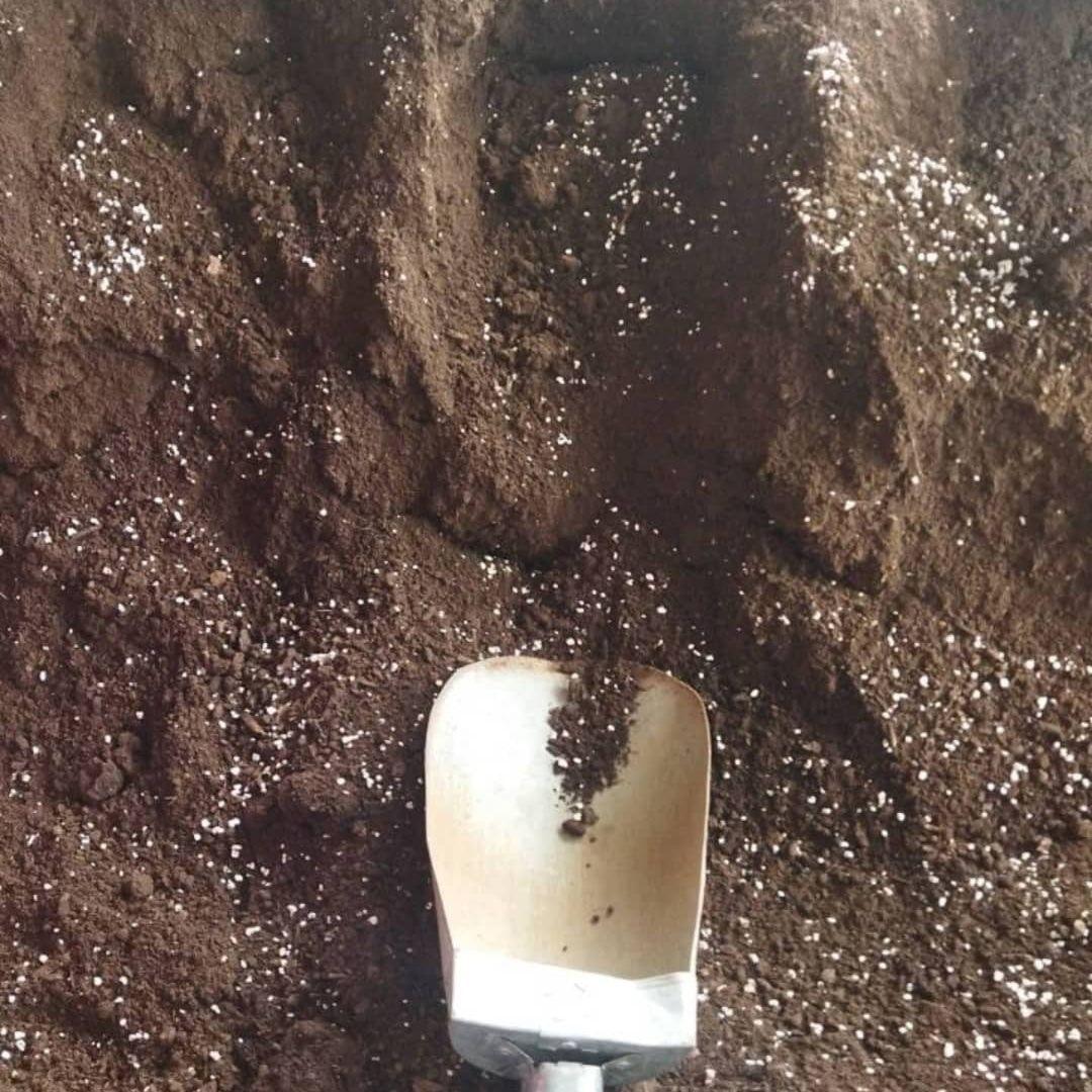 تولید خاک و خاک برگ عظیمی