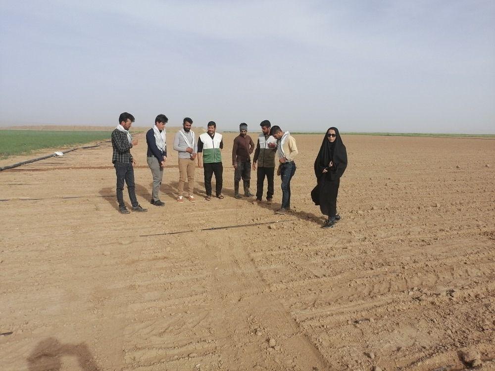 فروشگاه کشاورزان برتر