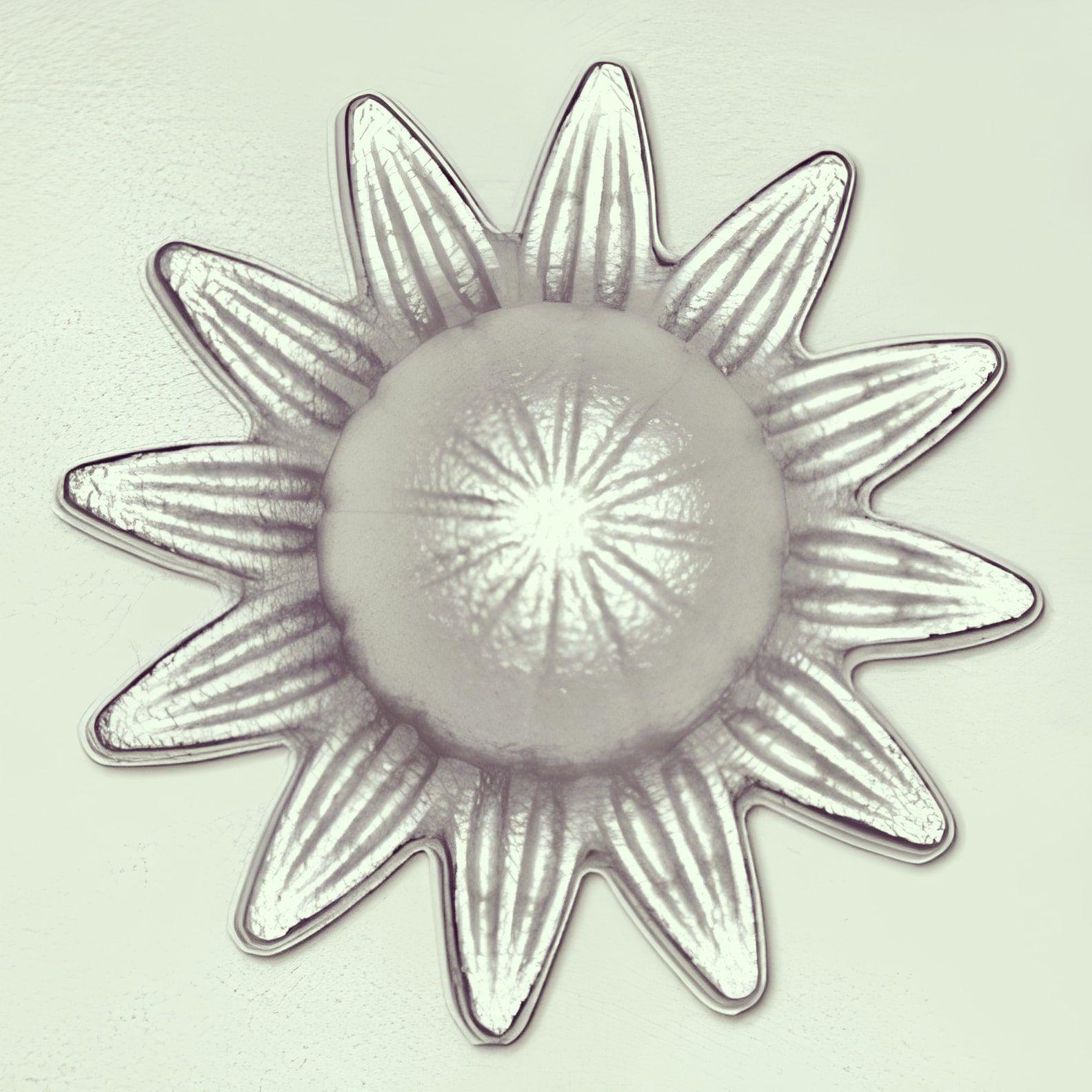 فرفورژه گلنرده دریانی