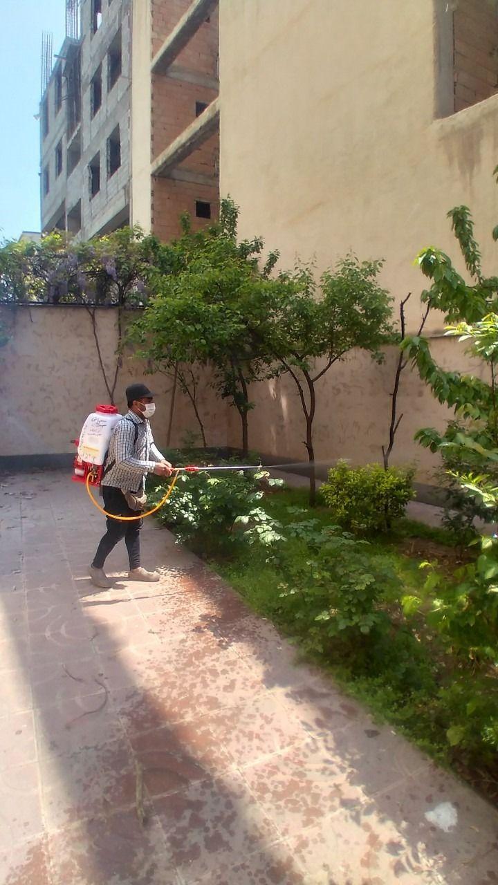 خدمات باغبانی و سمپاشی آرین