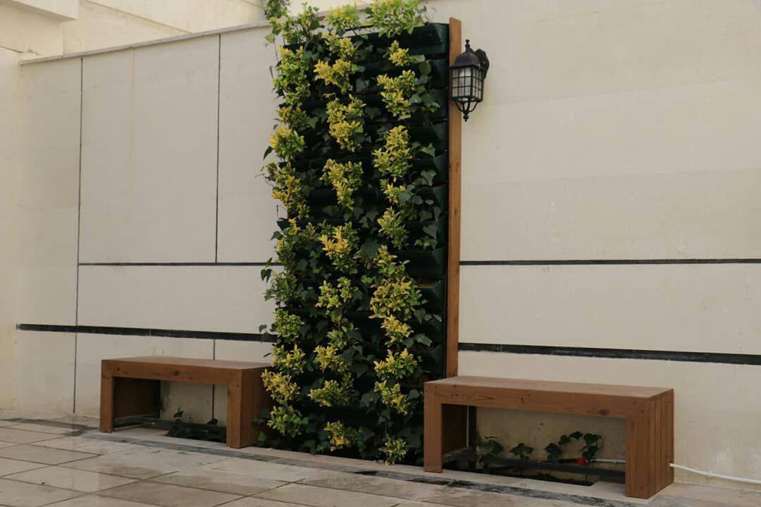 طراحی و اجرای دیوار سبز