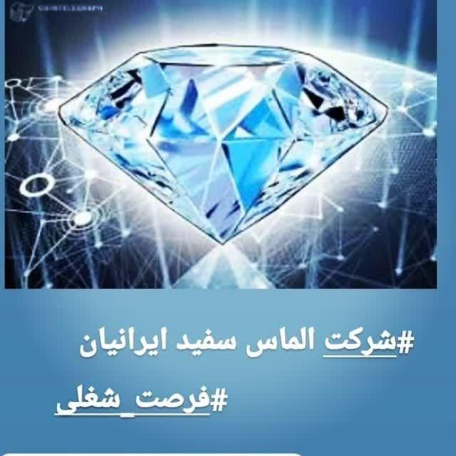 شرکت خدماتی و نظافتی الماس سفید ایرانیان