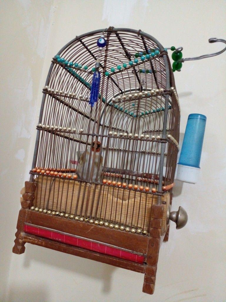 پت شاپ هپی داگ