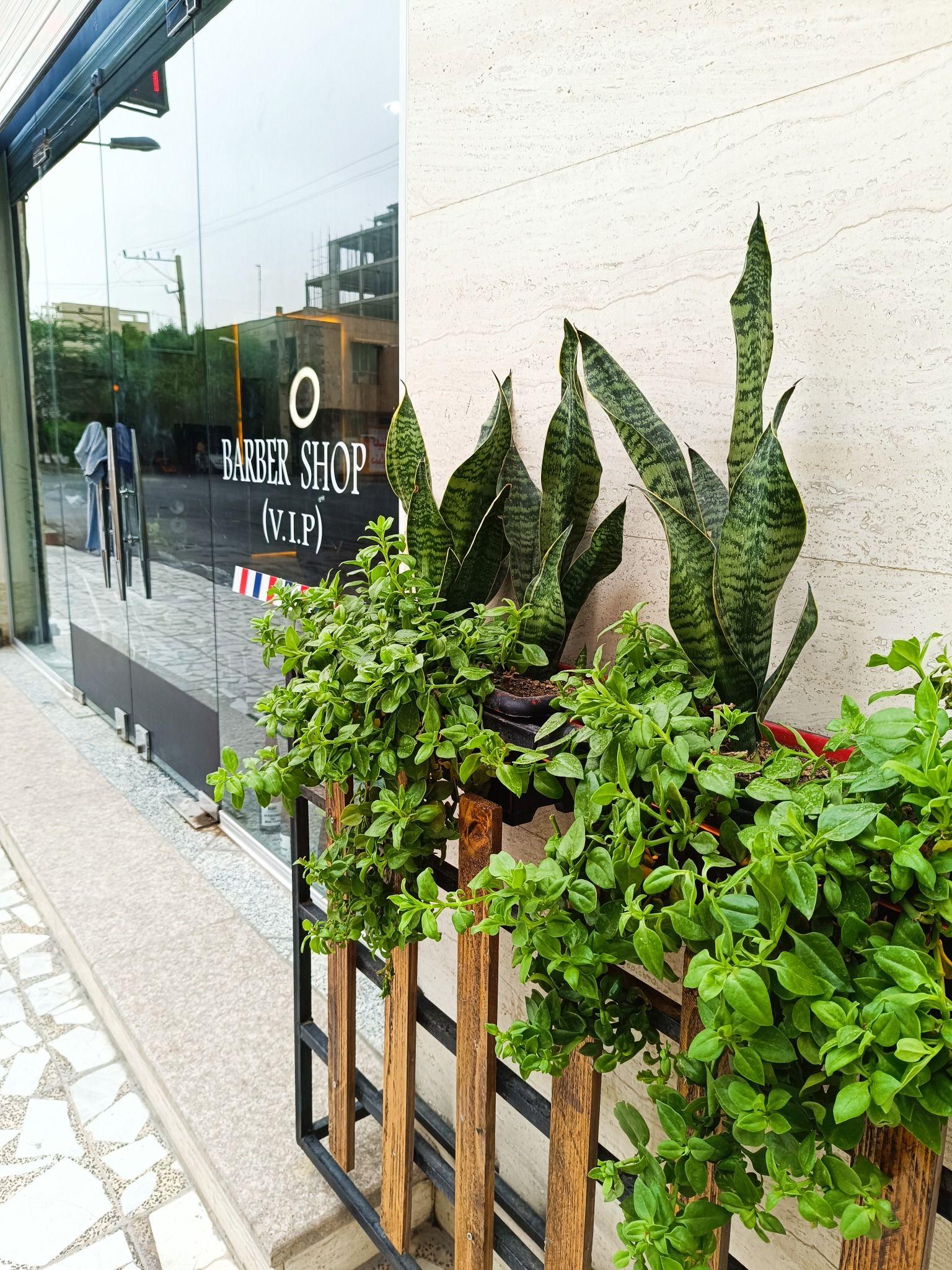 سالن مردانه دکتر مو