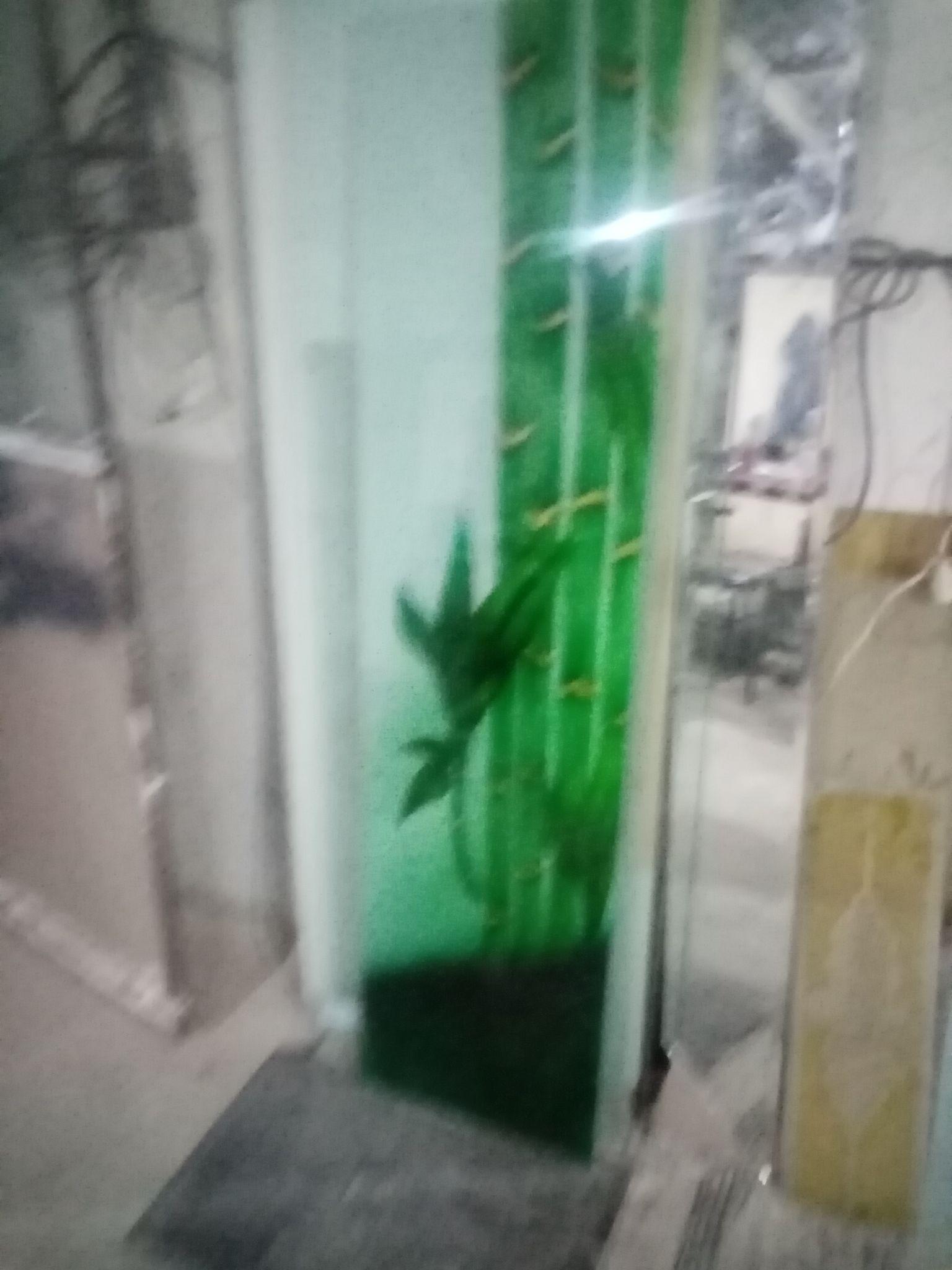 طراحی و سندبلاست شیشه و آینه های تزئینی ضروری