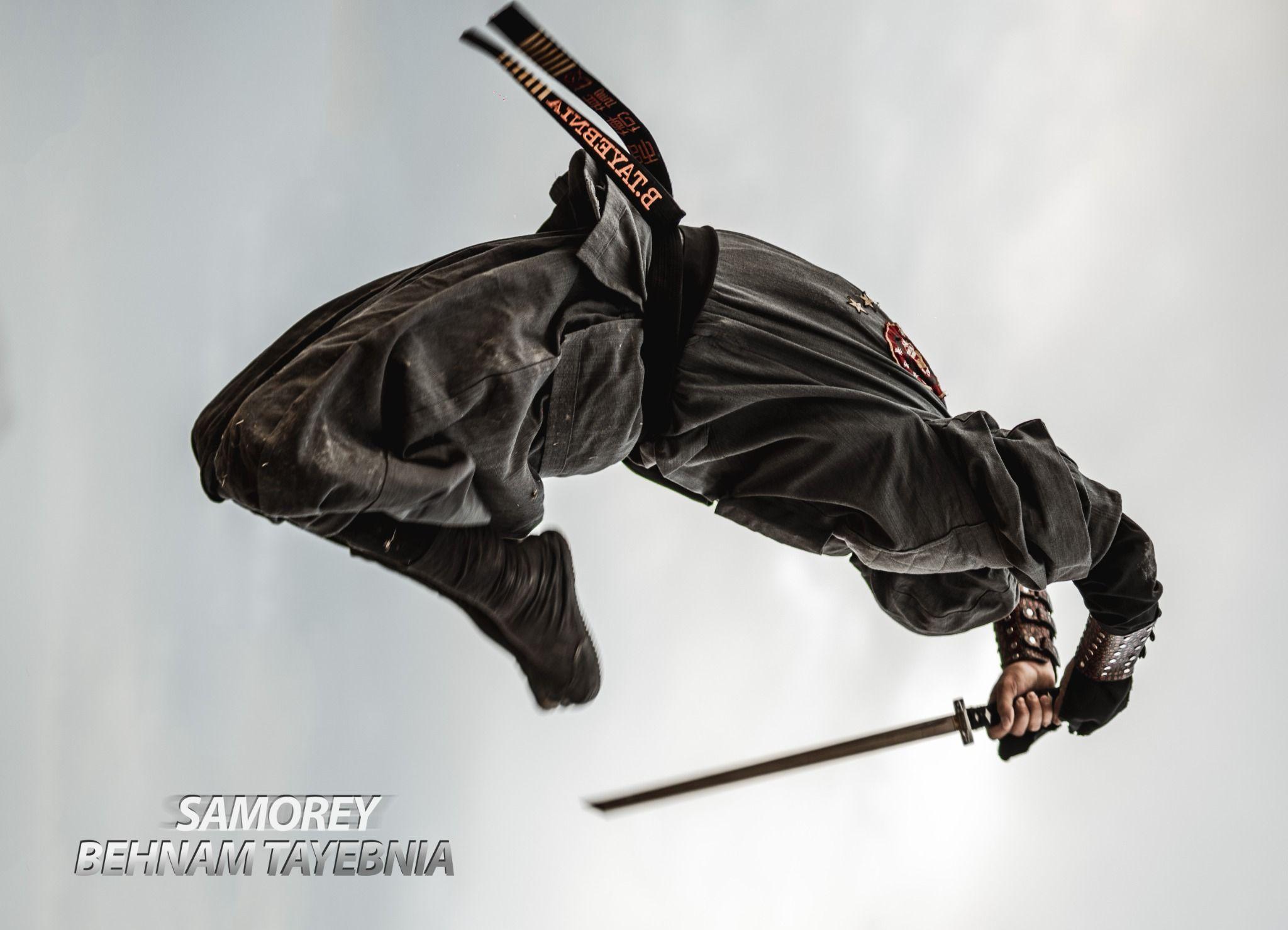 هنر های نینجا شائولین