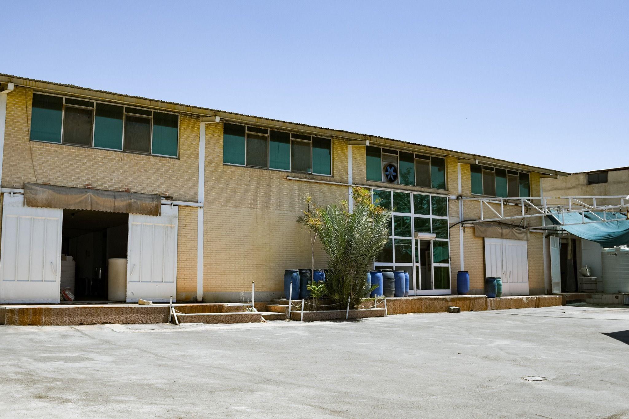 سبزیجات منجمد ویدا