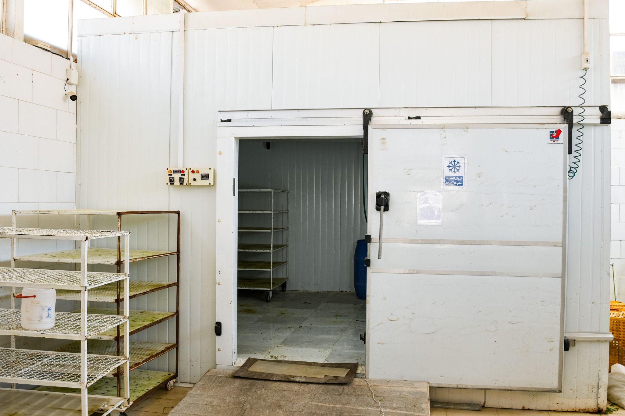 سبزیجات منجمد ویدا