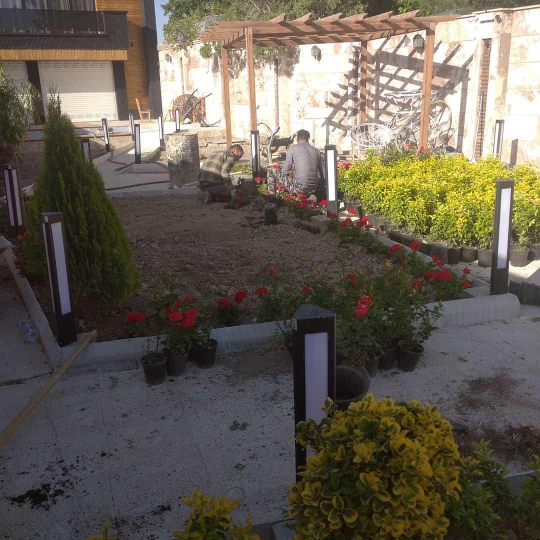 خدمات باغبانی قیدرلویی